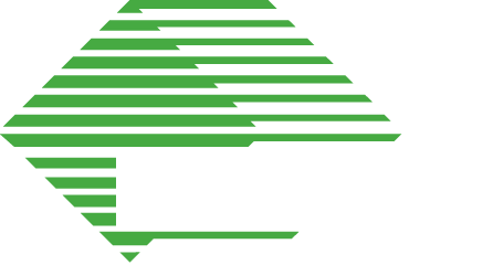 BIOTEAM S.r.l. logo
